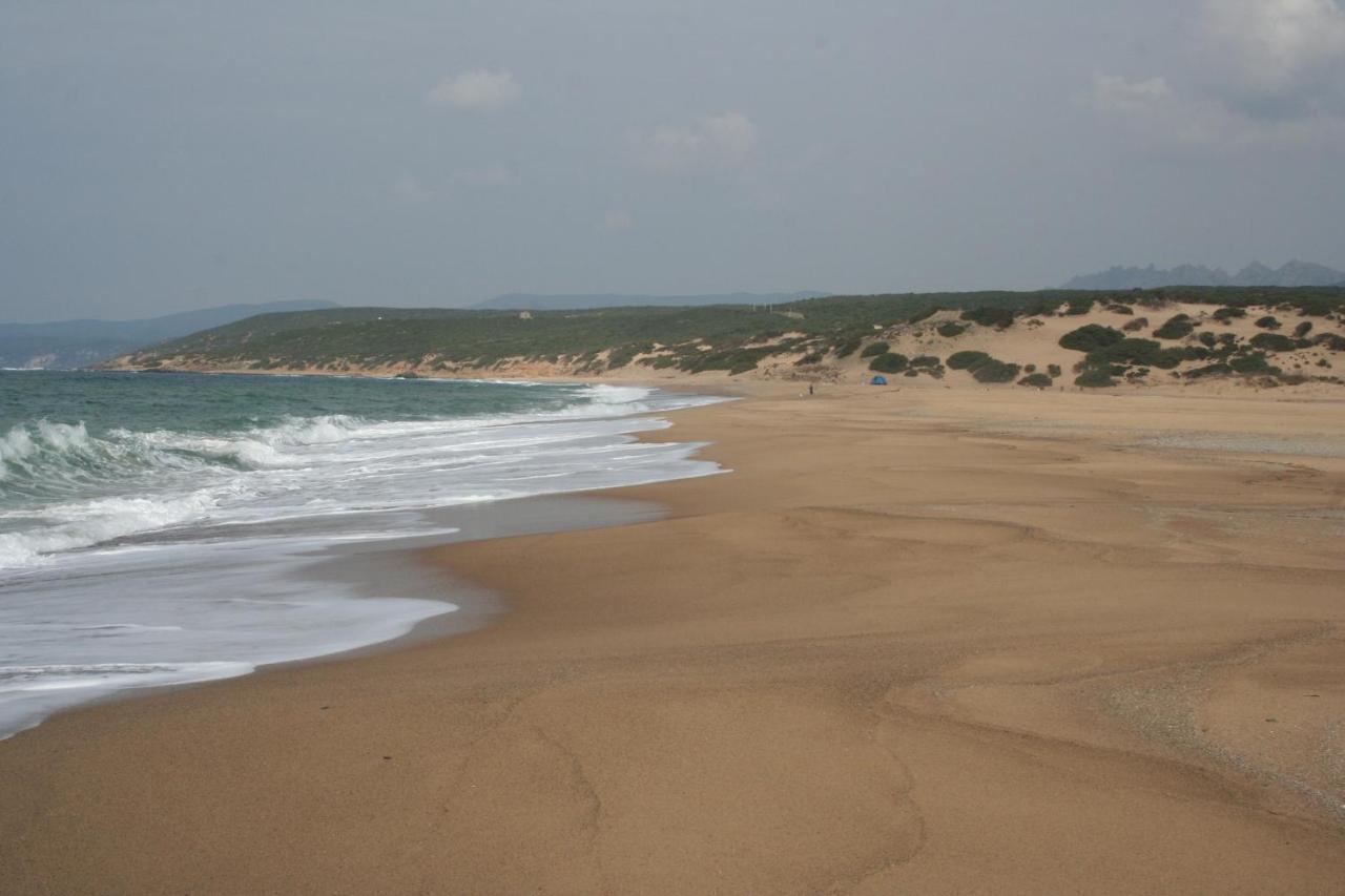 Costa * Arbus
